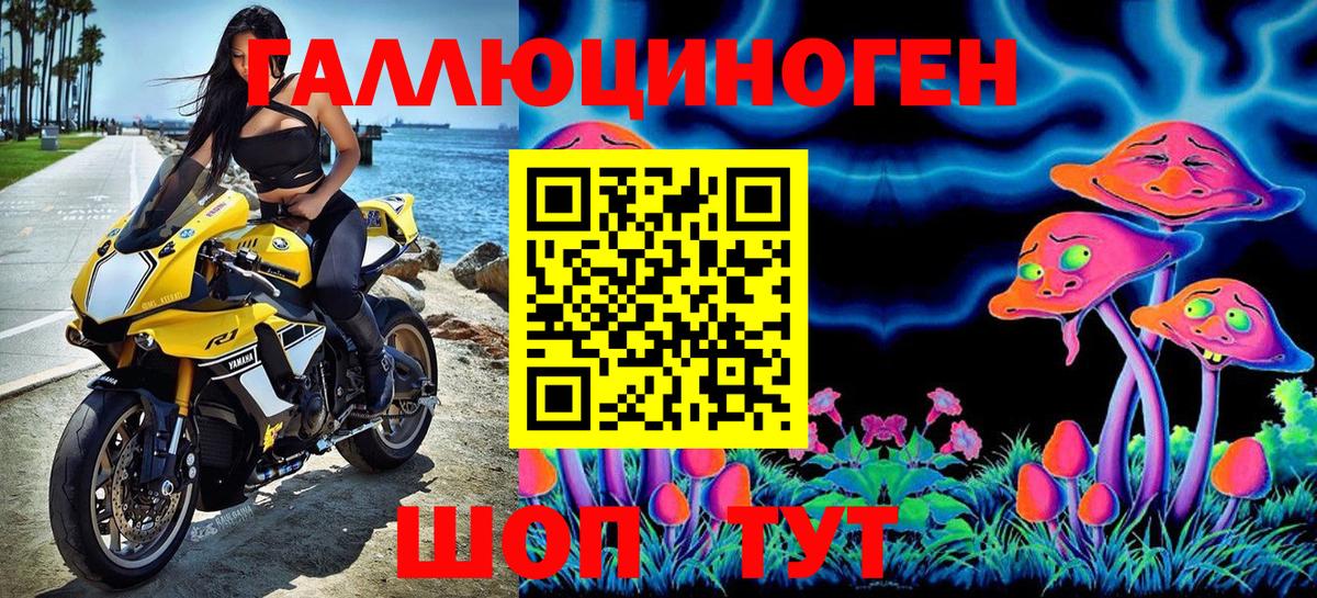 Галлюциногенные грибы Psilocybine cubensis Якутск