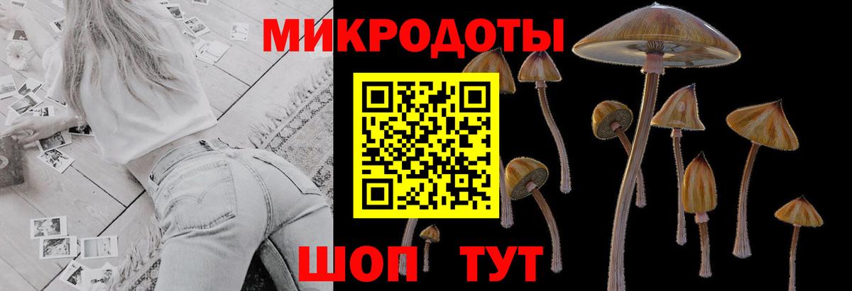 Якутск  Псилоцибиновые грибы ЛСД  Вход с VPN 